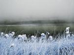Crespo, Ulrike Crespo – Cold Landscape.