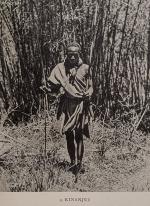 Dutton, Kenya Mountain.