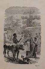[Barter, Alone Among the Zulus - By a Plain Woman,  the Narrative of a Journey T