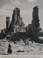 Baker, Sahara Challenge.