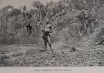 Lloyd, In Dwarf Land and Cannibal Country a Record of Travel and Discovery in Ce
