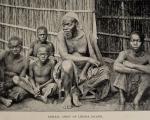 Johnson, My African Reminiscences, 1875-1895.