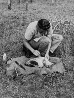 Sikes, Personal Papers and Archival Material Related to the Life and Career of S