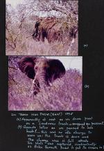 Sikes, Personal Papers and Archival Material Related to the Life and Career of S