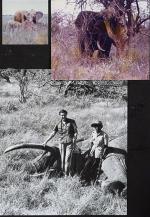 Sikes, Personal Papers and Archival Material Related to the Life and Career of S