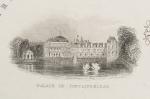 Tallis, France