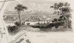 Tallis, Perth