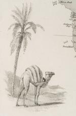 Tallis, Arabia (Arabian Peninsula / Gazirat al-Arab) with the Arabian Gulf / Red Sea