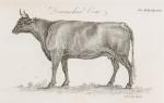 Dickson, The Farmer’s Companion; being a complete System of Modern Husbandry