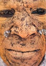Kirk, Man as Art – New Guinea