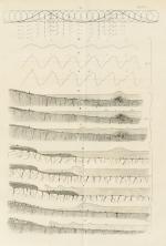 Mallet, On the Dynamics of Earthquakes