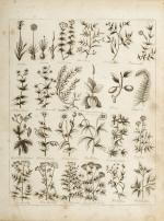 Culpeper, Culpeper's English Physician and Complete Herbal