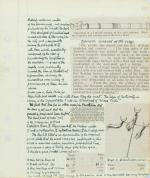Original, Esoteric, Biblical &amp; Astrological Prophecy Manuscript / Astrology – Occulta – Manuscrip