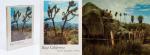 Eliot Porter, Baja California and the Geography of Hope.