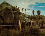 Eliot Porter, Baja California and the Geography of Hope.