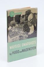 Wadenoyen, Wayside Snapshots.