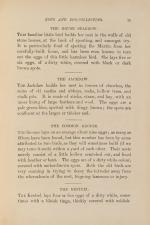 Kearton, Birds’ Nests, Eggs, and Egg-Collecting