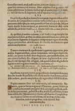 Lonicerus, Decades sex positionum medicarum de Angina Exquisita