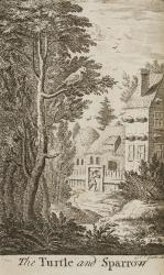 [John Morrison], Poems on Several Occasions by the late Matthew Prior.