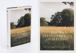 [Naylor, Large Reference – Library of World-Class Garden Designer Verney Naylor