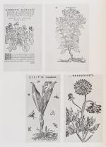 [Naylor, Large Reference – Library of World-Class Garden Designer Verney Naylor