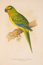 The Speaking Parrots – A Scientific Manual [With all eight (8) chromolithographic plates complete].