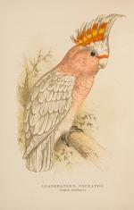 The Speaking Parrots – A Scientific Manual [With all eight (8) chromolithographic plates complete].