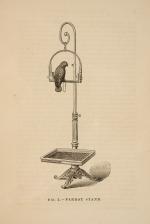 The Speaking Parrots – A Scientific Manual [With all eight (8) chromolithographic plates complete].