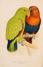 The Speaking Parrots – A Scientific Manual [With all eight (8) chromolithographic plates complete].