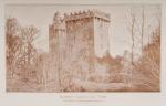 Complete Set of “Journal of the Cork Historical &amp; Archaeological Society” – 129 Volumes