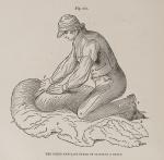 Henry Stephens, The Book of the Farm (First Edition 1844 in Three Volumes)