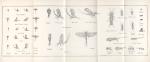 Wooley, Modern Trout Fly Dressing.