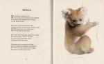 Mortimer, Some Queer Animals [Illustrated Poems].