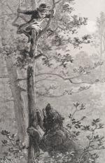 Ellis, Through Forest and Fire.