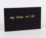 Veenhuizen, Any Dream Will Do.