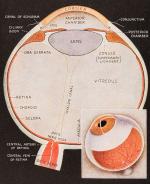 Hine, May and Worth’s Manual of Diseases of the Eye.