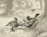 Seton-Thompson, Lives of the Hunted: Containing a True Account of the Doings of 