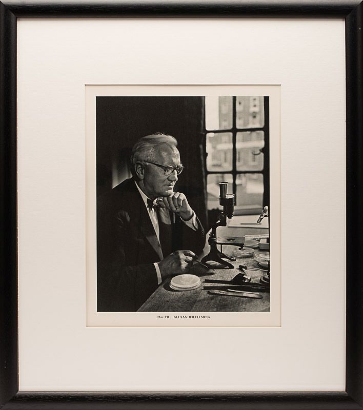 Yousuf Karsh - Original, vintage gelatin silver print of the co-discoverer of scottish physician, microbiologist and discoverer of Penicillin, Sir Alexander Fleming.