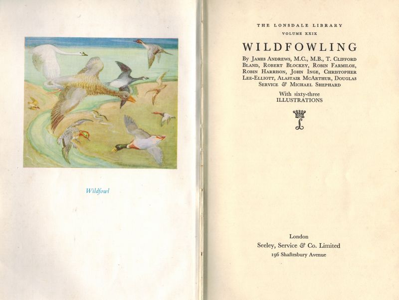 Andrews, Wildfowling.