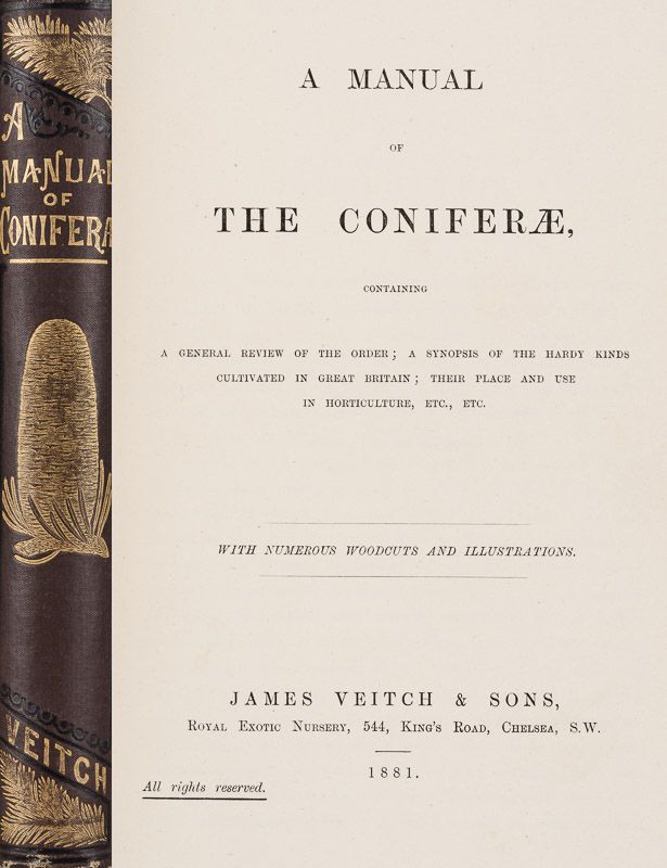 Veitch, A Manual of the Coniferae