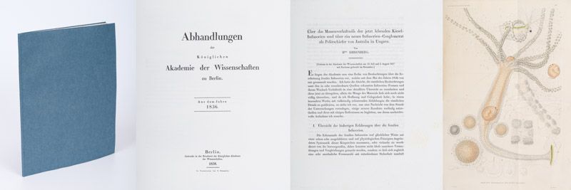 Christian Gottfried Ehrenberg, Über das Massenverhältnifs der jetzt lebenden Kiesel-Infusorien