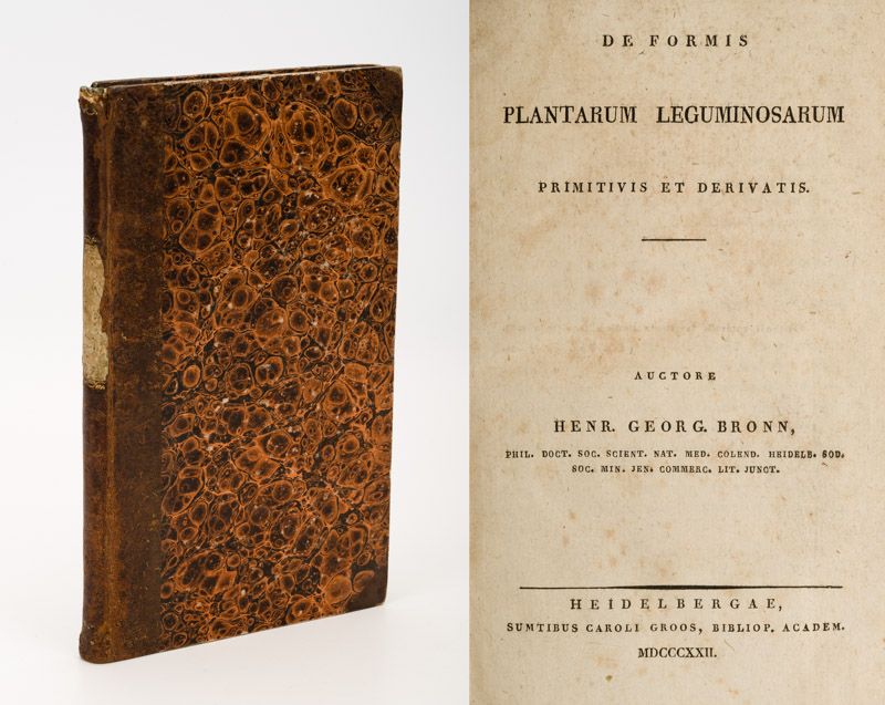 Bronn, De Formis Plantarum Leguminosarum - Primitivis et Derivatis.