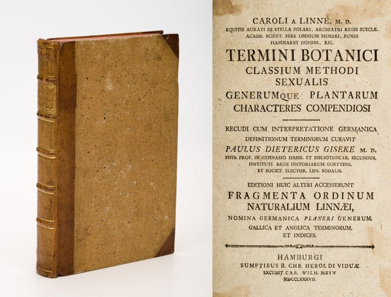 [Linné, Caroli a Linné Termini botanici classium methodi sexualis generumque plantarum characteres compendiosi.