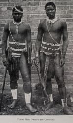 Krige, The Social System of the Zulus.