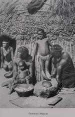 Krige, The Social System of the Zulus.