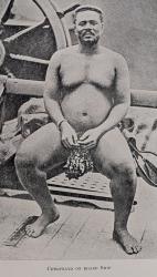 Gibson, The Story of the Zulus.