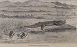 Baker, The Nile Tributaries of Abyssinia and the Sword Hunters of the Hamran Ara