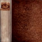 Barman, Architecture: The Journal Of The Society Of Architects.