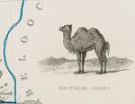 Tallis, Persia (Iran) with the 19th century naming of the different regions in Iran and neighbouring countries