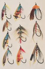 Taverner, Salmon Fishing.